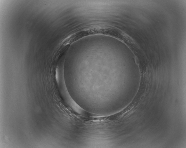 X0000064770822200602101247