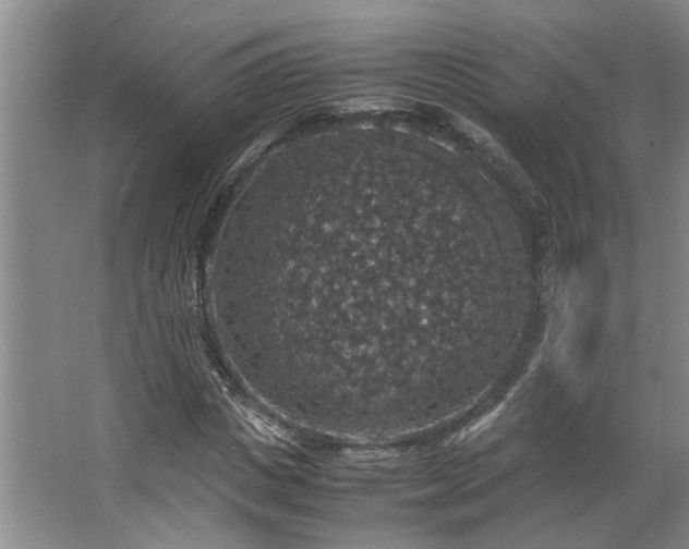 X0000064770825200602101247