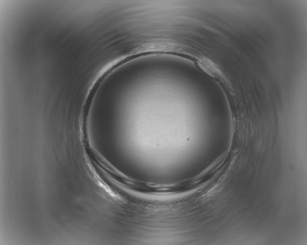 X0000064770846200602101247