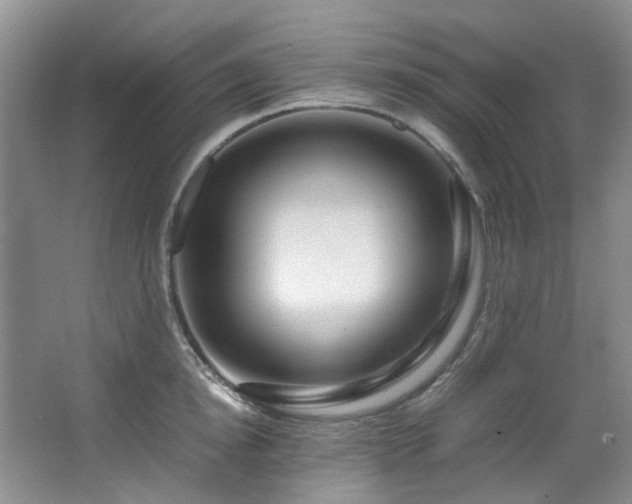 X0000064770854200602101247