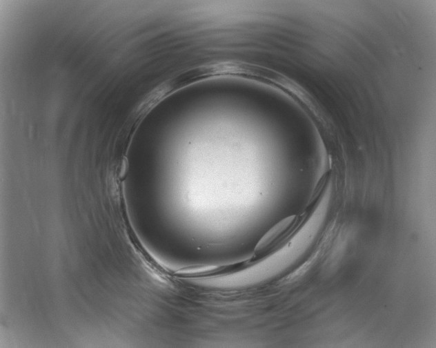 X0000064770857200602101247