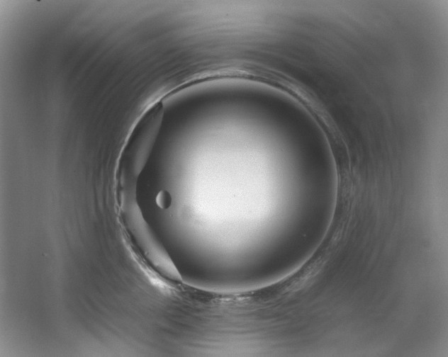 X0000064770858200602101247