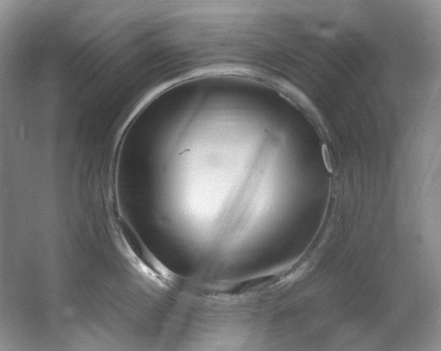 X0000064770860200602101247