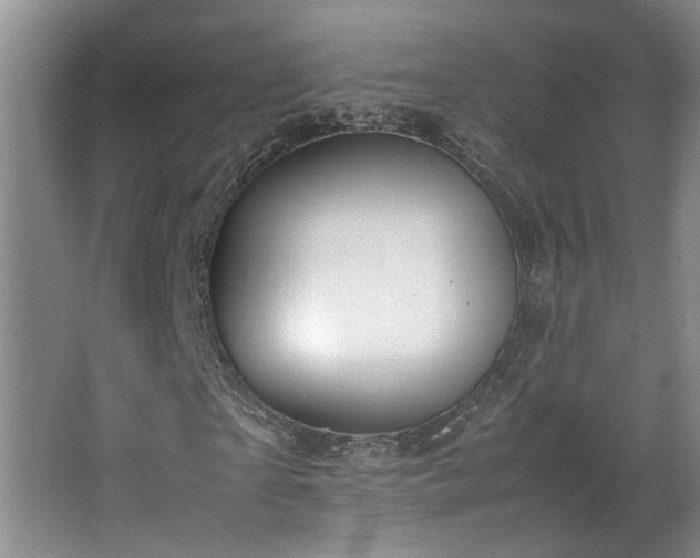 X0000064770865200602101246