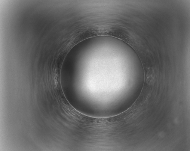 X0000064770866200602101246