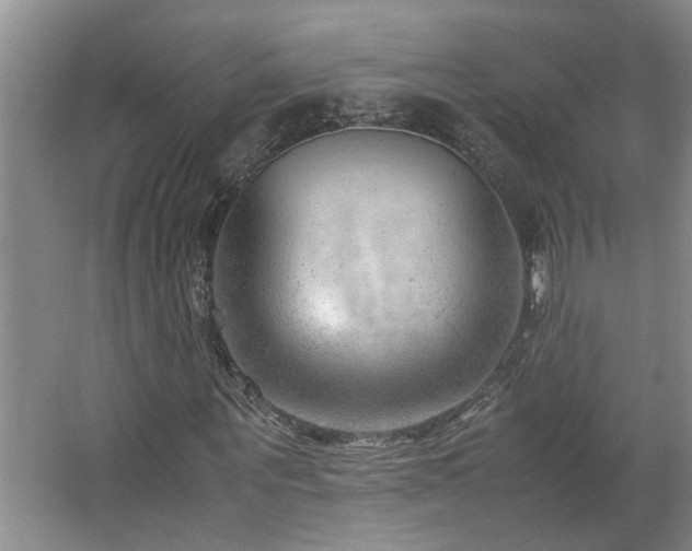 X0000064770867200602101246