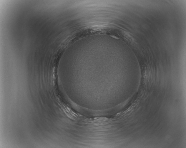 X0000064770868200602101246