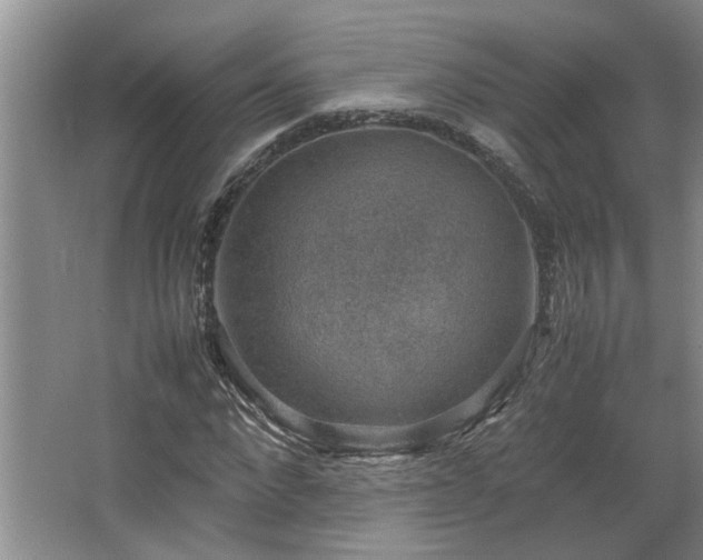 X0000064770872200602101246