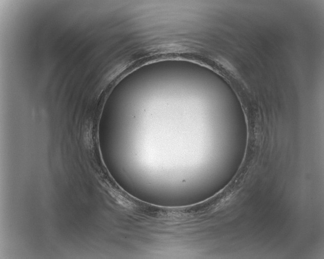 X0000064770873200602101246