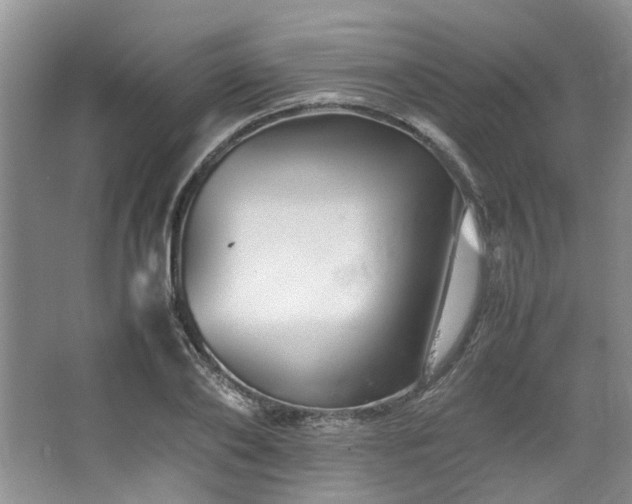 X0000064770886200602101246