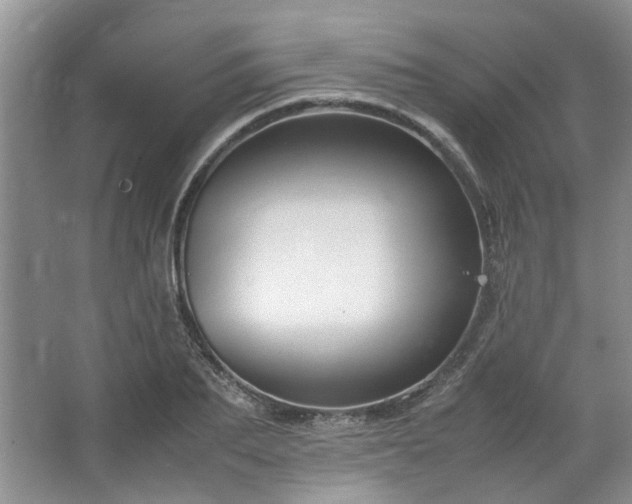 X0000064770887200602101246
