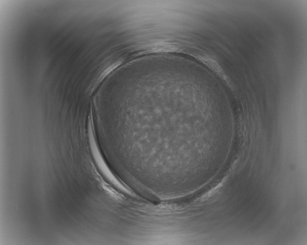 X0000064770889200602101246