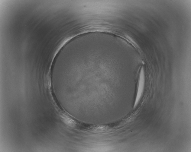 X0000064770891200602101246