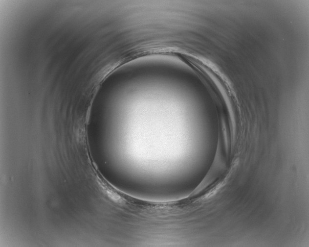 X0000064770897200602101246