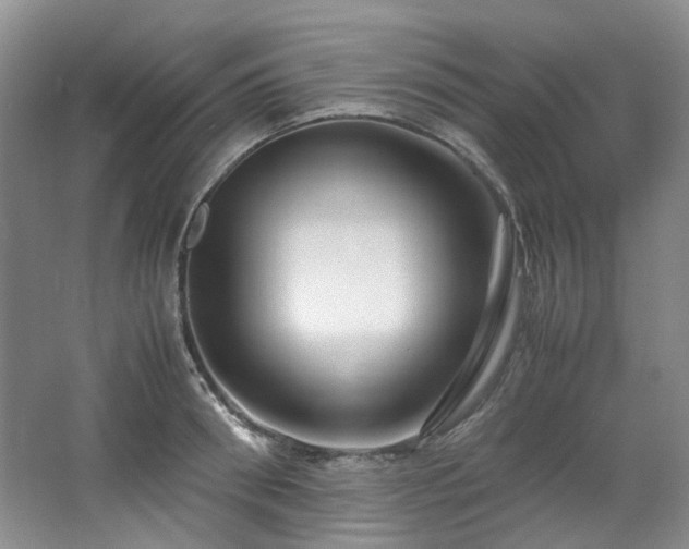 X0000064770898200602101246