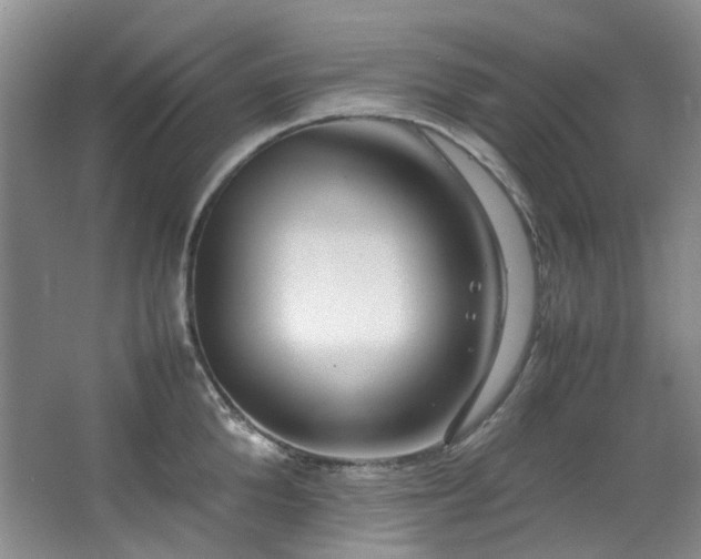 X0000064770904200602101246