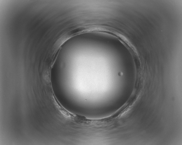 X0000064770905200602101246