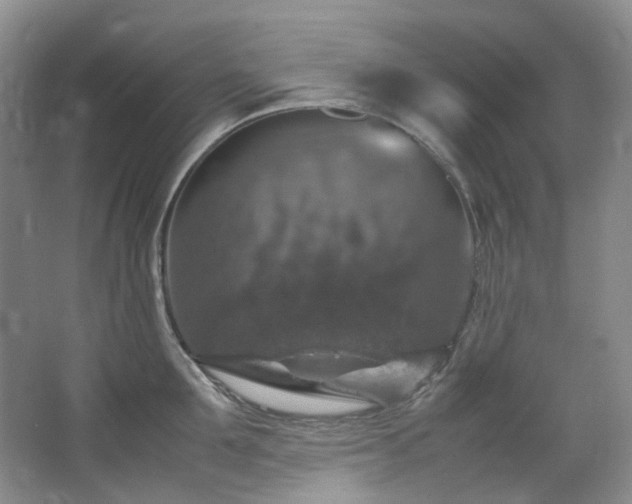 X0000064770907200602101246