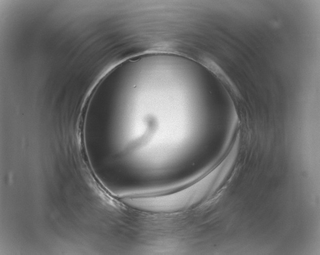 X0000064770908200602101246