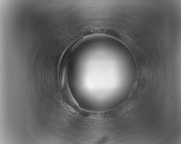 X0000064770914200602101245