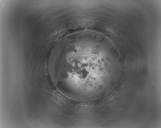 X0000064770917200602101245