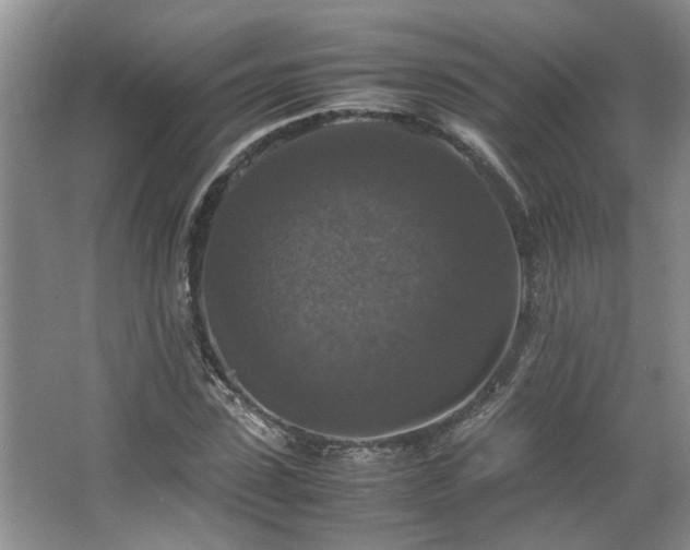 X0000064770923200602101245