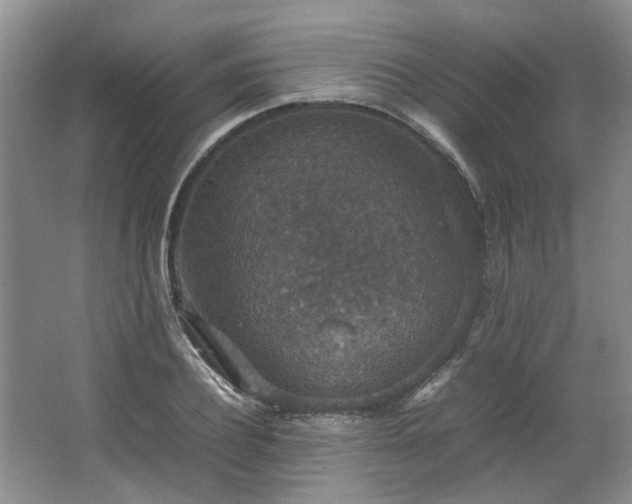 X0000064770932200602101245