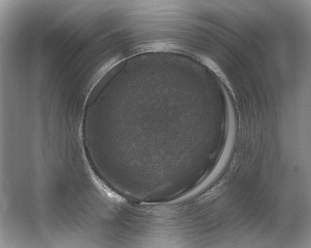X0000064770946200602101245