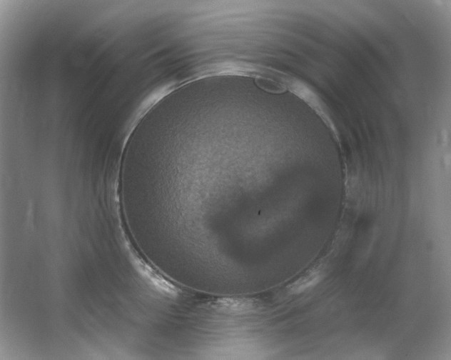 X0000064770954200602101246