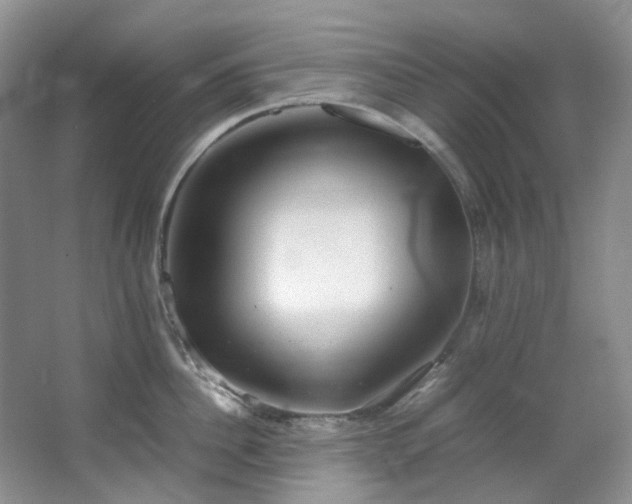 X0000064770956200602101246