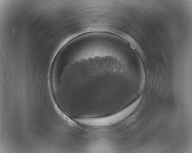 X0000064770958200602101246