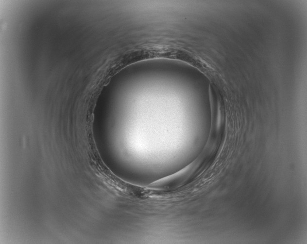 X0000064770961200602101245