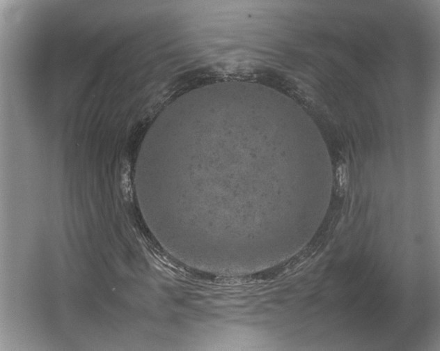 X0000064770963200602101245