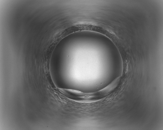 X0000064770965200602101245