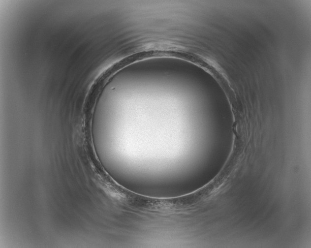 X0000064770971200602101245