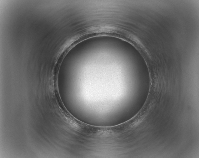 X0000064770978200602101245