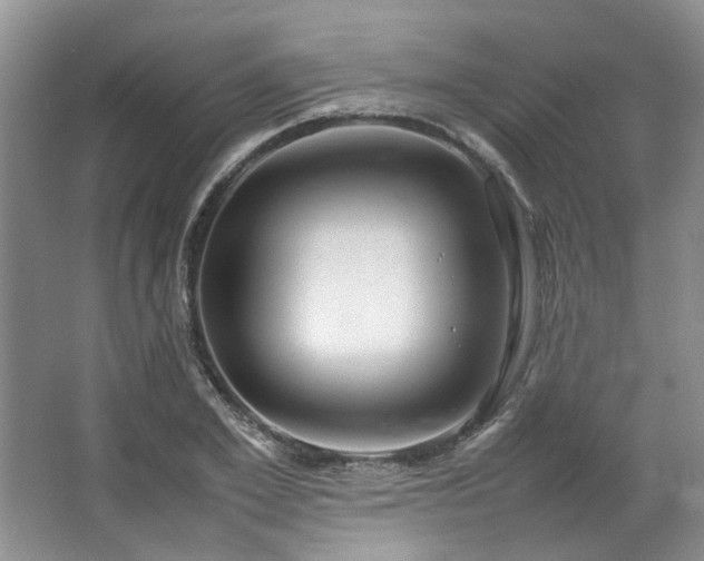 X0000064770981200602101244