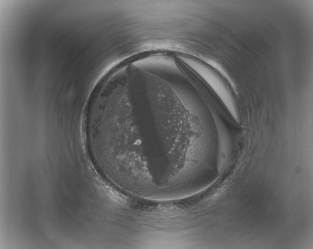 X0000064770983200602101244