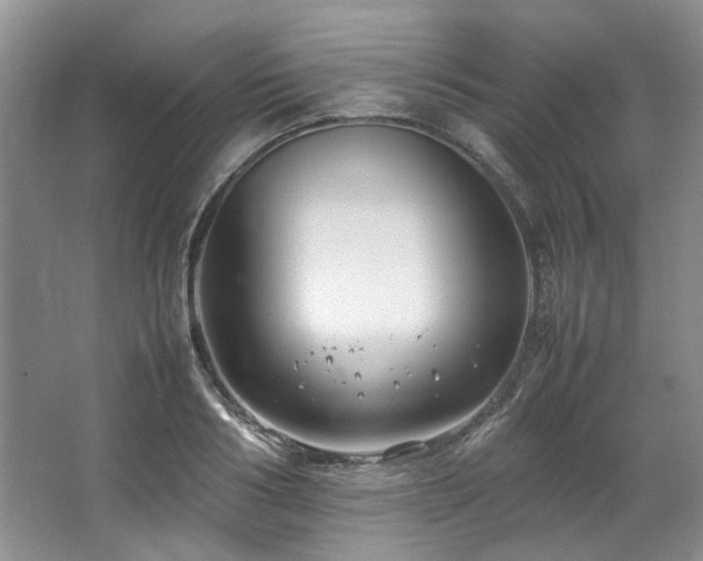 X0000064770986200602101244
