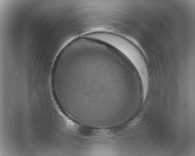 X0000064770991200602101244