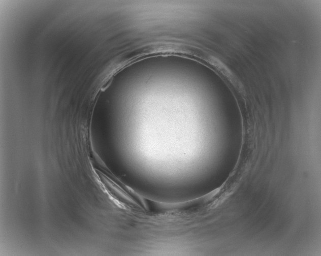 X0000064770993200602101244
