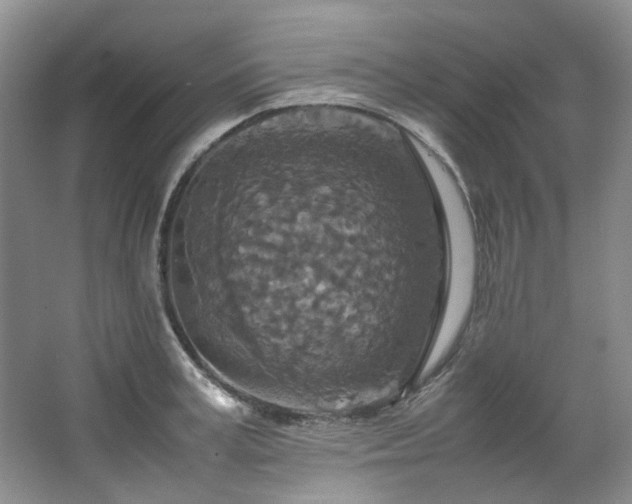 X0000064770995200602101244