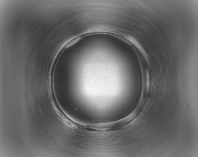 X0000064770996200602101244