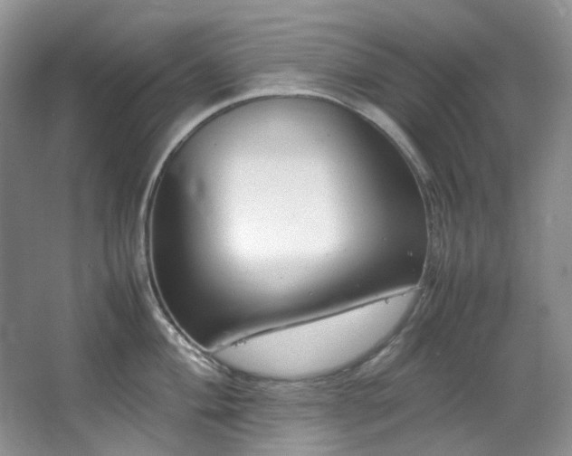 X0000064771004200602101244