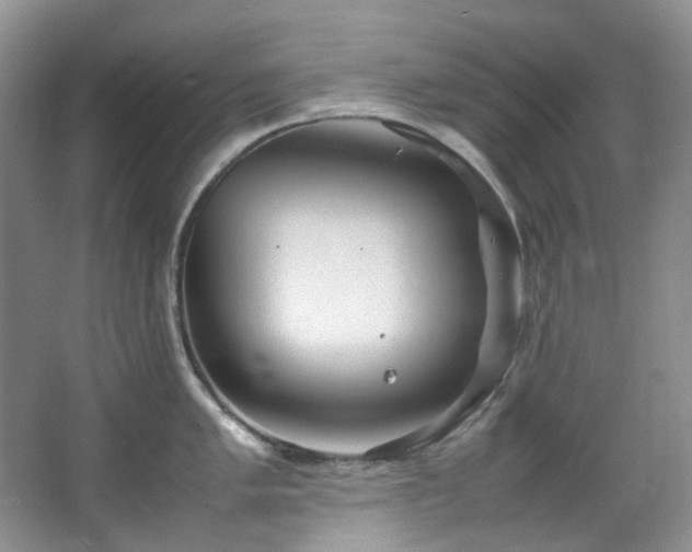 X0000064771005200602101244