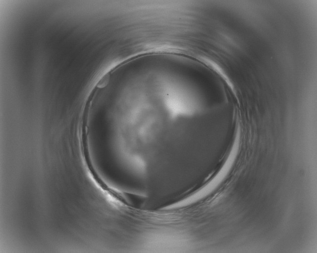 X0000064771007200602101244