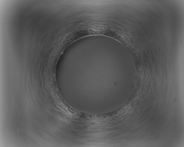 X0000064771009200602101243