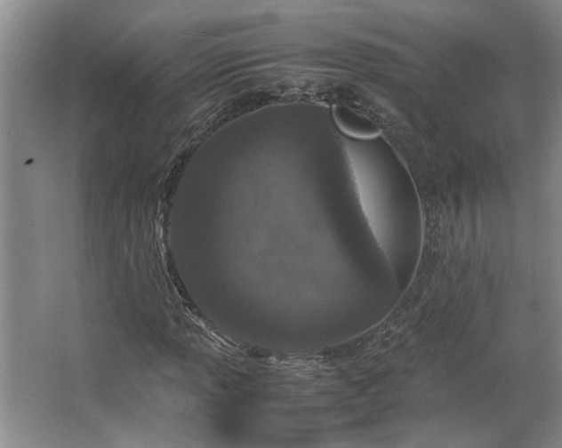 X0000064771013200602101243