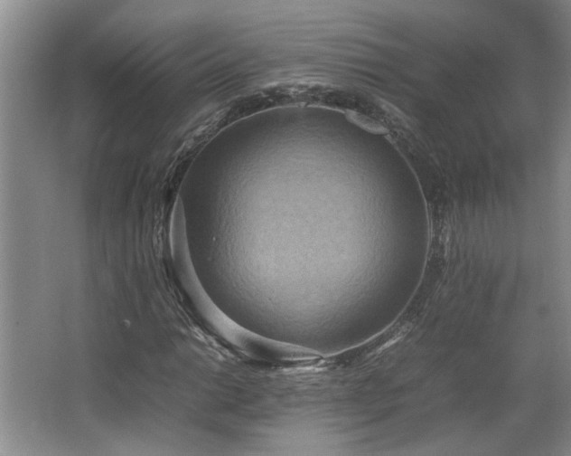 X0000064771014200602101243