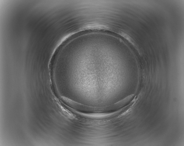 X0000064771022200602101243